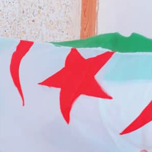 bachir ouledelhaddar