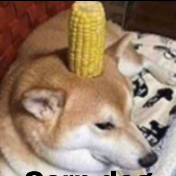 Corn dog idn