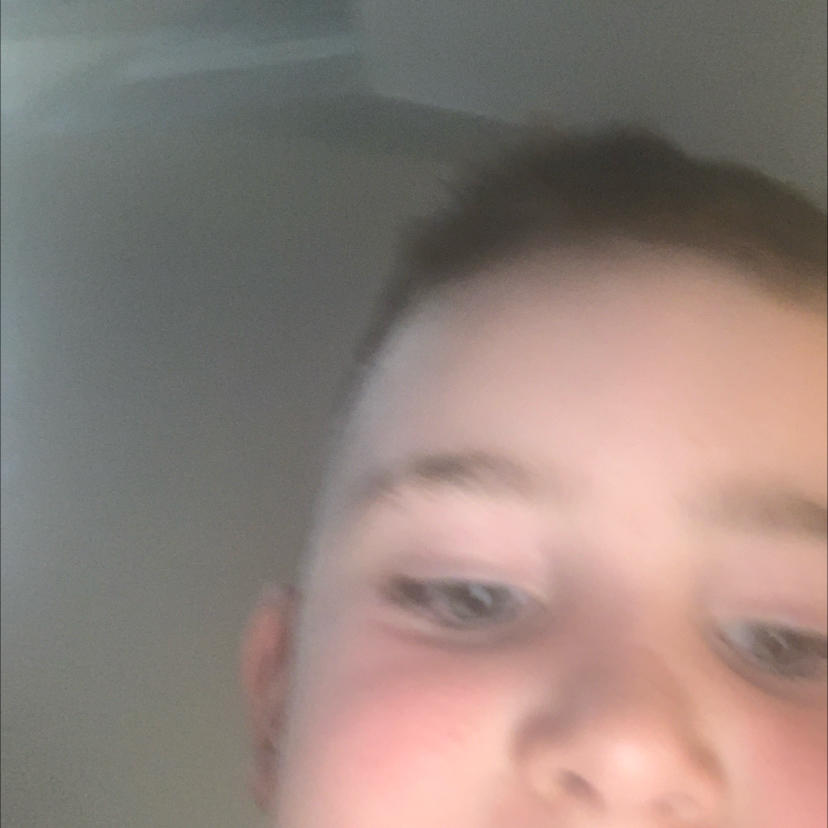 Robbie-jabe sparrow 2016