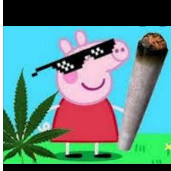 Peppa sniff the crack