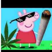 Peppa sniff the crack