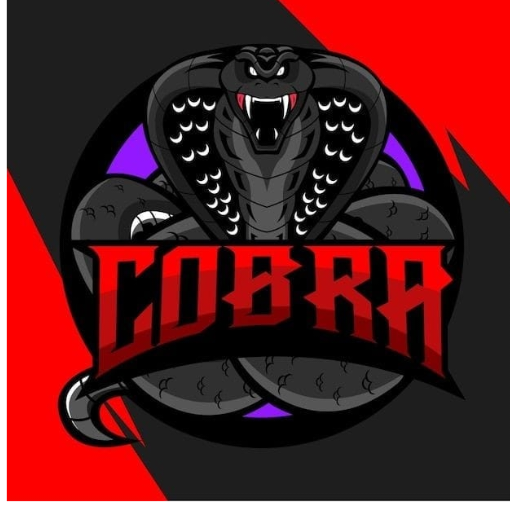 cobramgaming7876