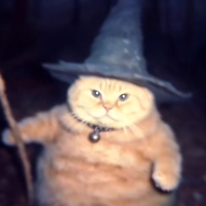tarubtarubnez