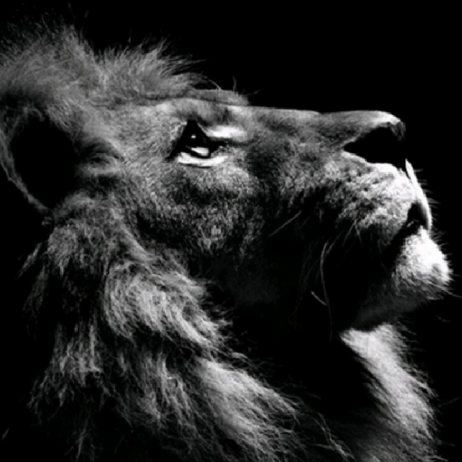 love `°∆°`🛡️