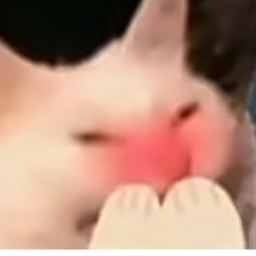 Vitto