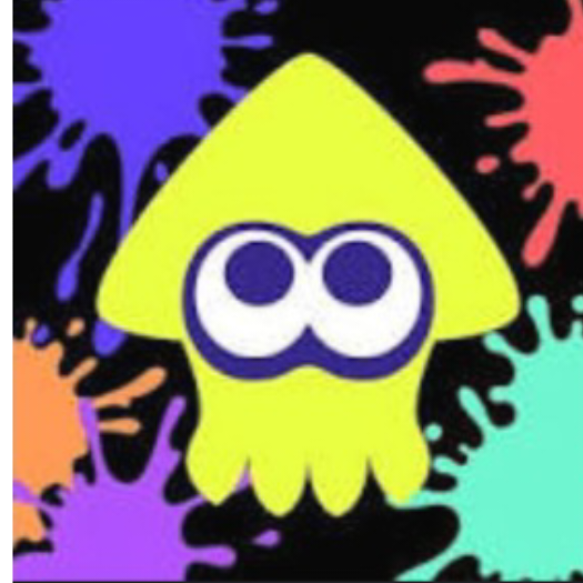 splatoon fan