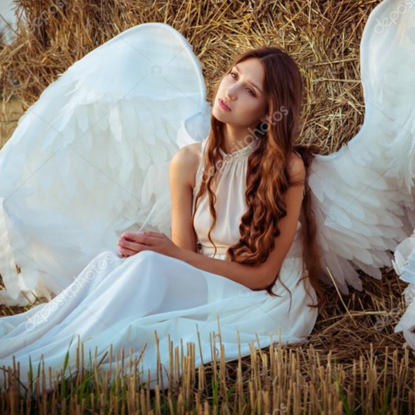 Tanvir Ahammed Shuvo