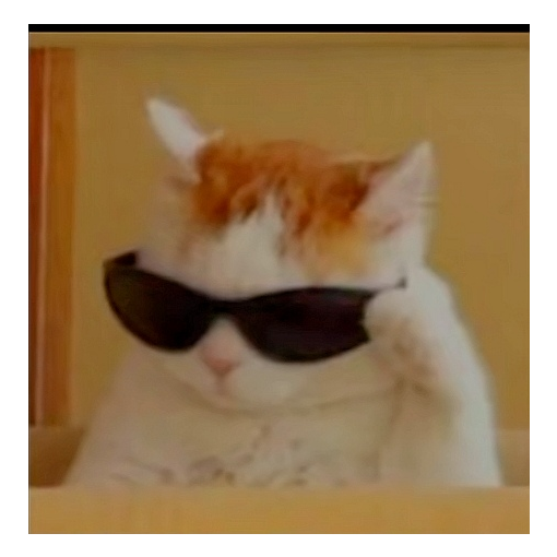 ᴡᴀᴛᴄʜɪɴɢ