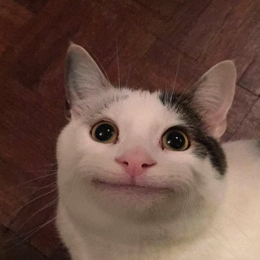 Beluga