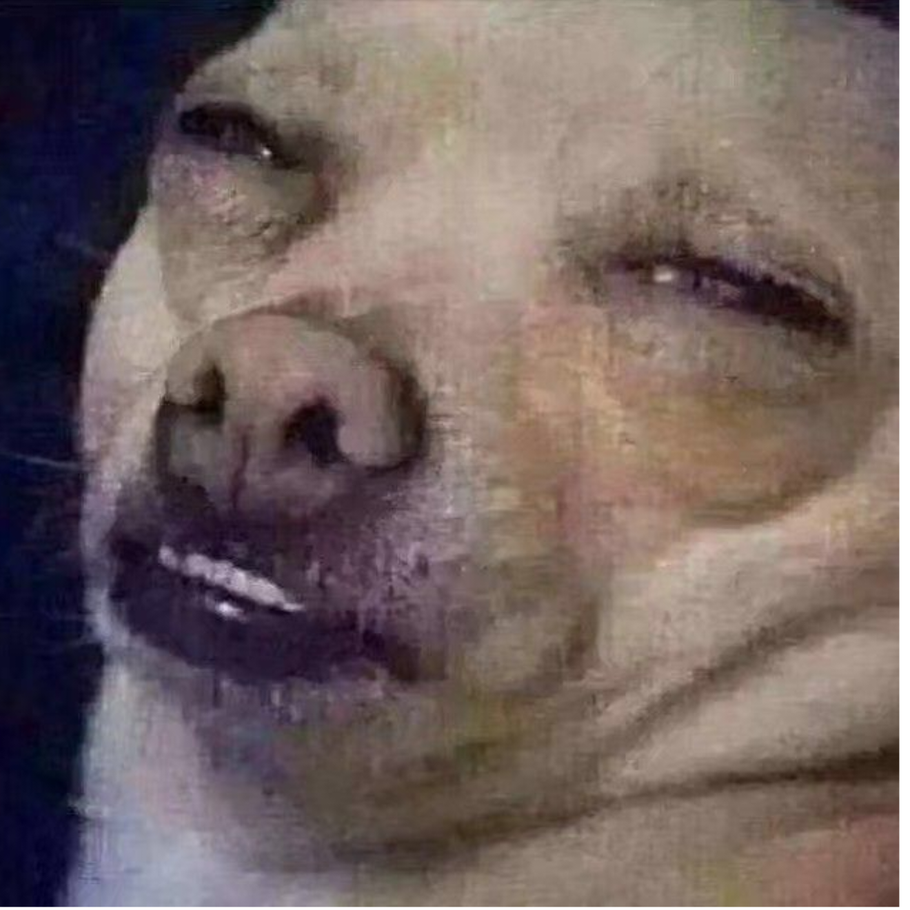 捏捏你的小泡芙