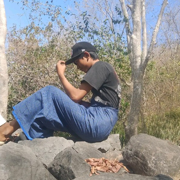 Cmyominthant
