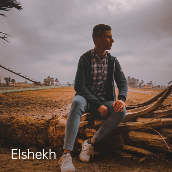 Youssef Elshekh