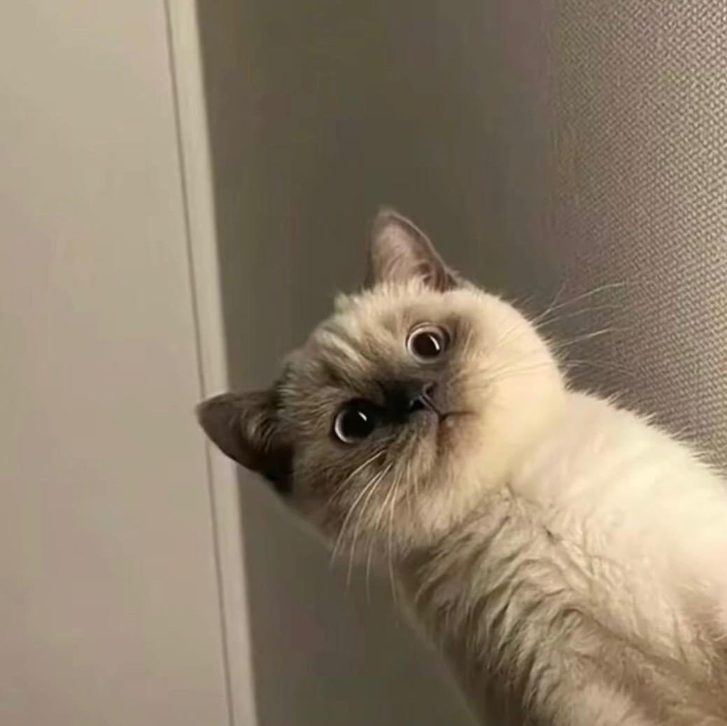 奖励自己一口果汁