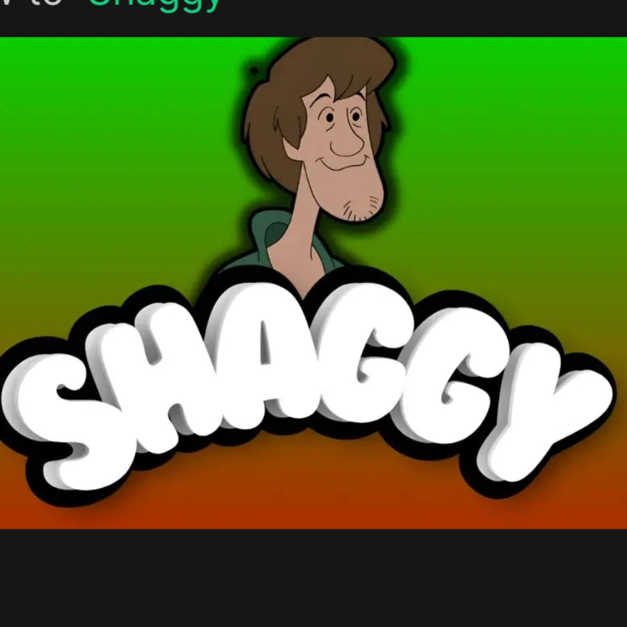 Shaggy 