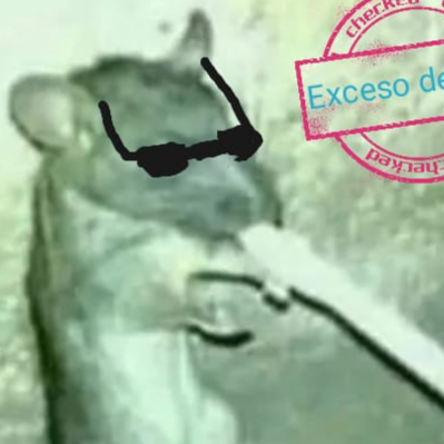 Insano16