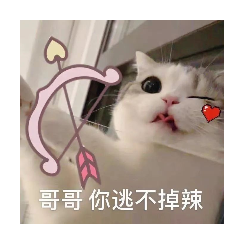 纯情大母猴