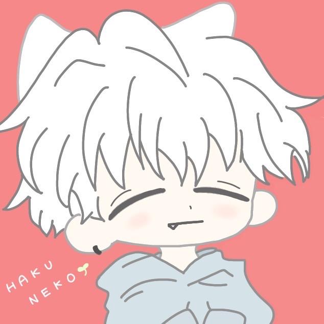 はくねこ