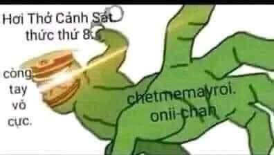 Cá heo bụng bư