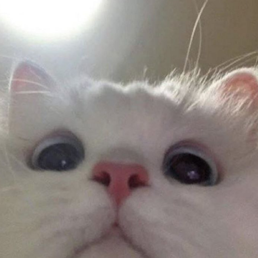 ॱއފޔއރ އކއޚкހ