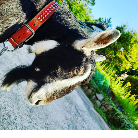 坂本龍馬の小指の爪