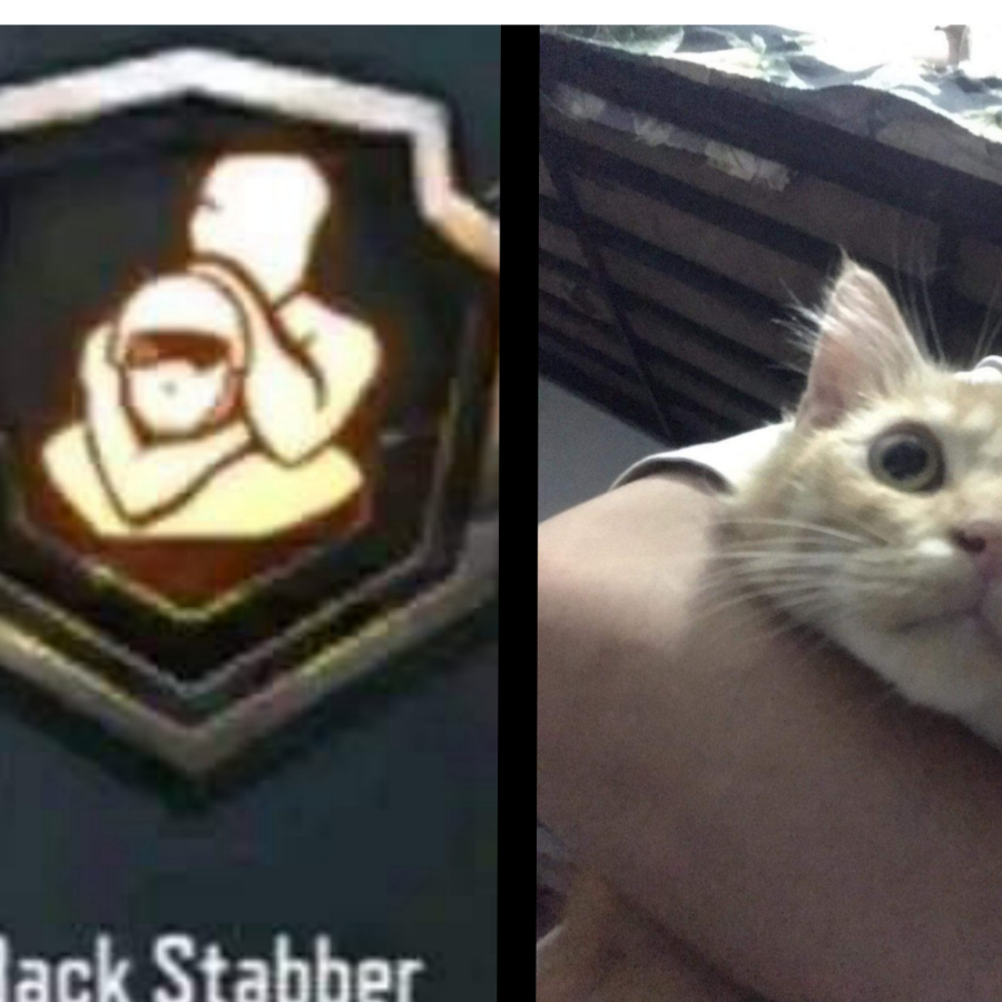 Comrade