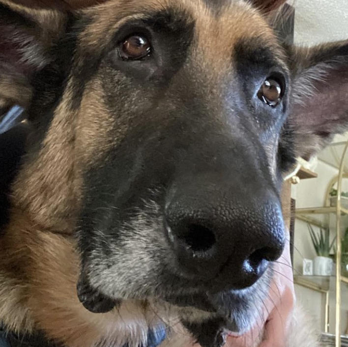 ᴀᴀʟɪʏᴀʜ※