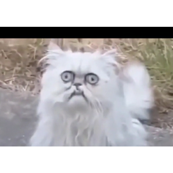 รักแฟนที่สุดเลย