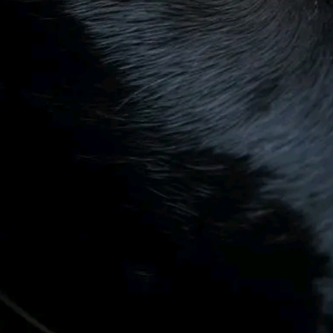 مـاشـفتـڪ〆