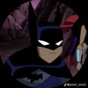 robin