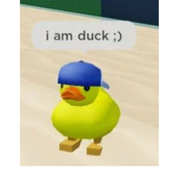 Ducky THE Duck