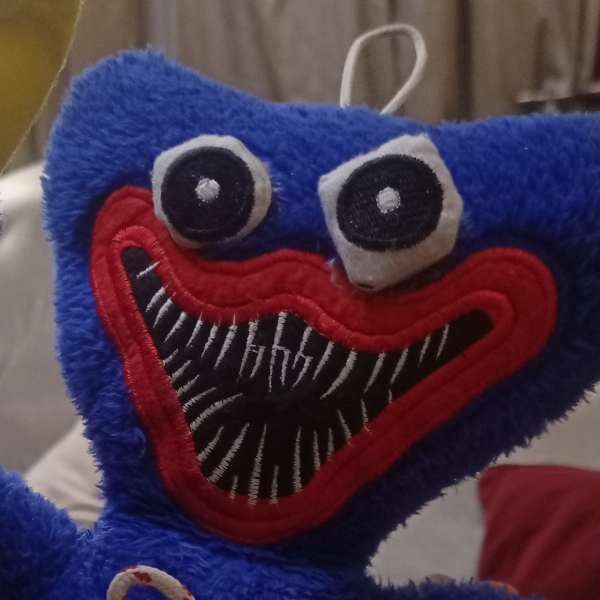 PlaytimeXPlush