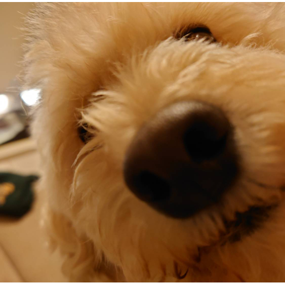 ミヤグチシュウマ