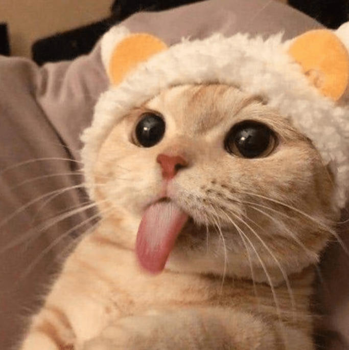 McDonuts  ૮꒰ ˶• ༝ •˶꒱ა 