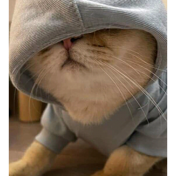 chebukane motsawakae