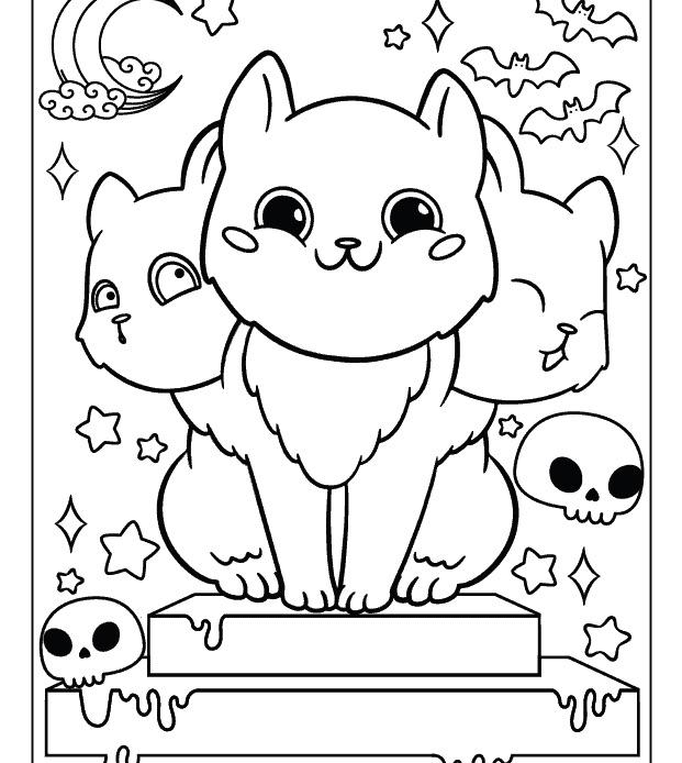 cat