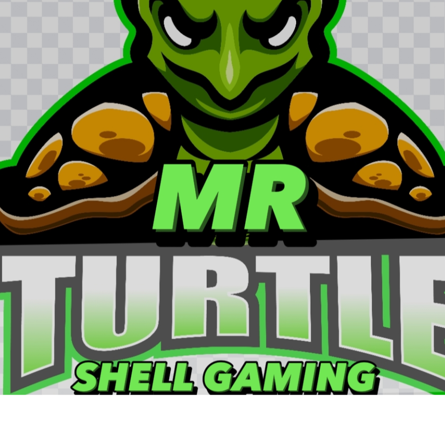 Mr turtle shell Gaming