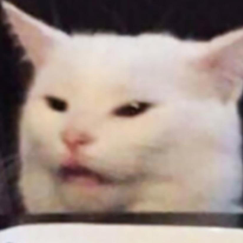salad cat