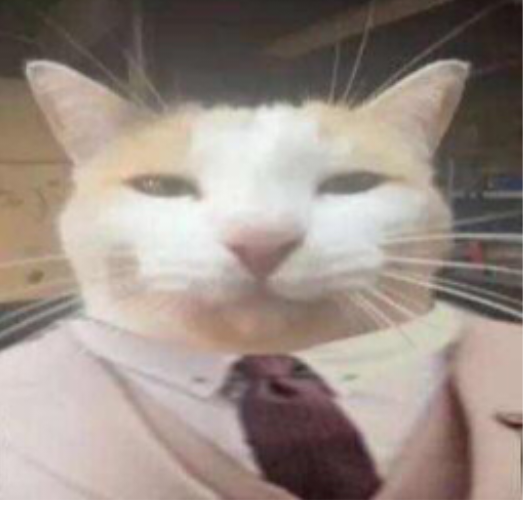 Scpwhy