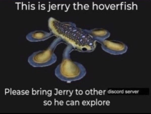 Jerry