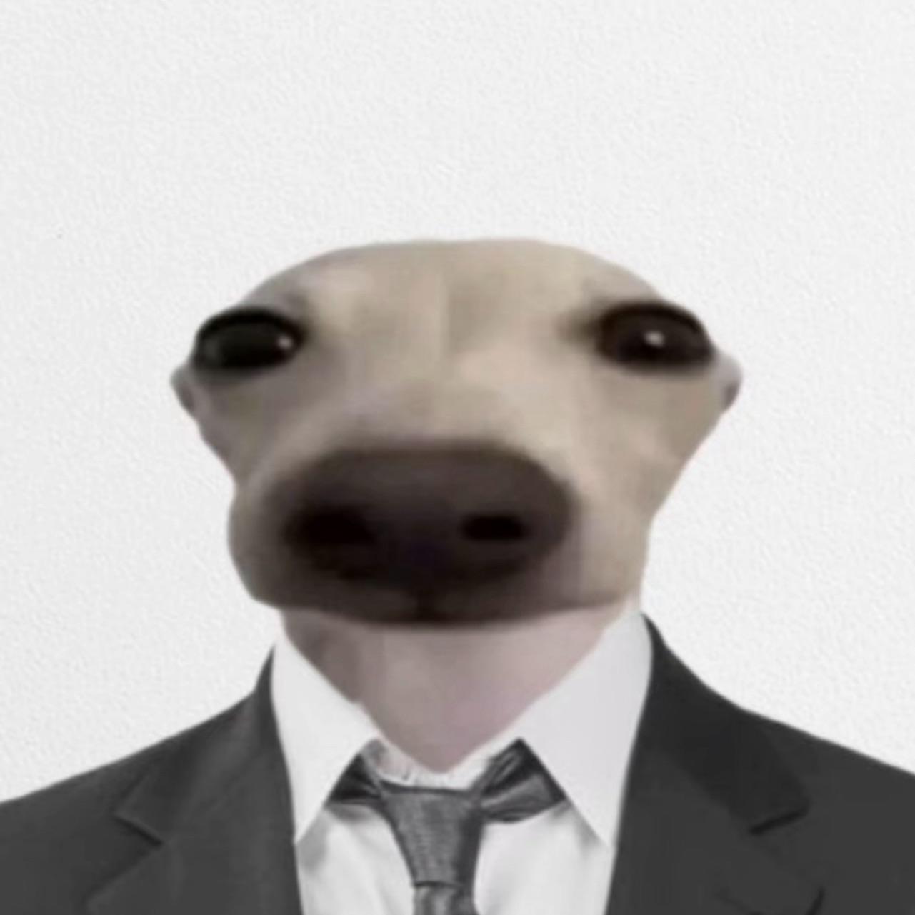 Baooooo