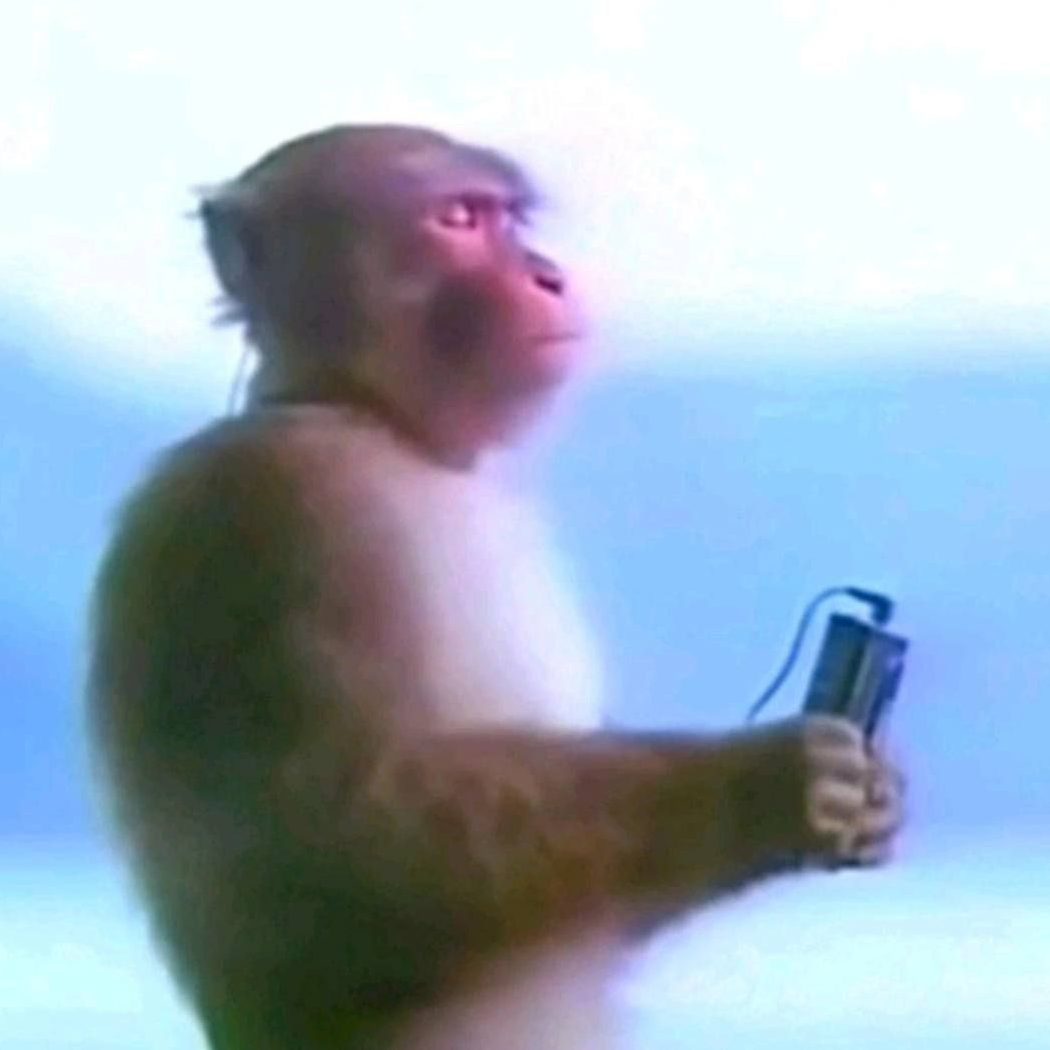Monkey Priest