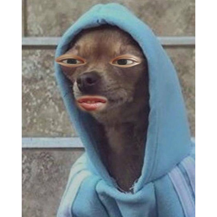 ถั่วต้ม