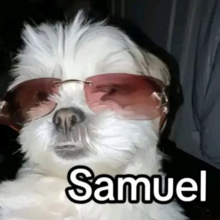 Samuel junior Junior