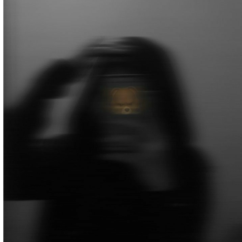 wedriana
