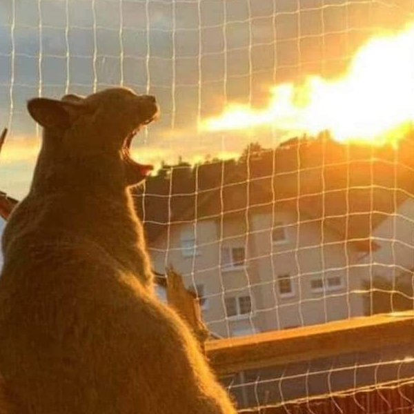 ภาณุวิชญ์ แย้มเกษร