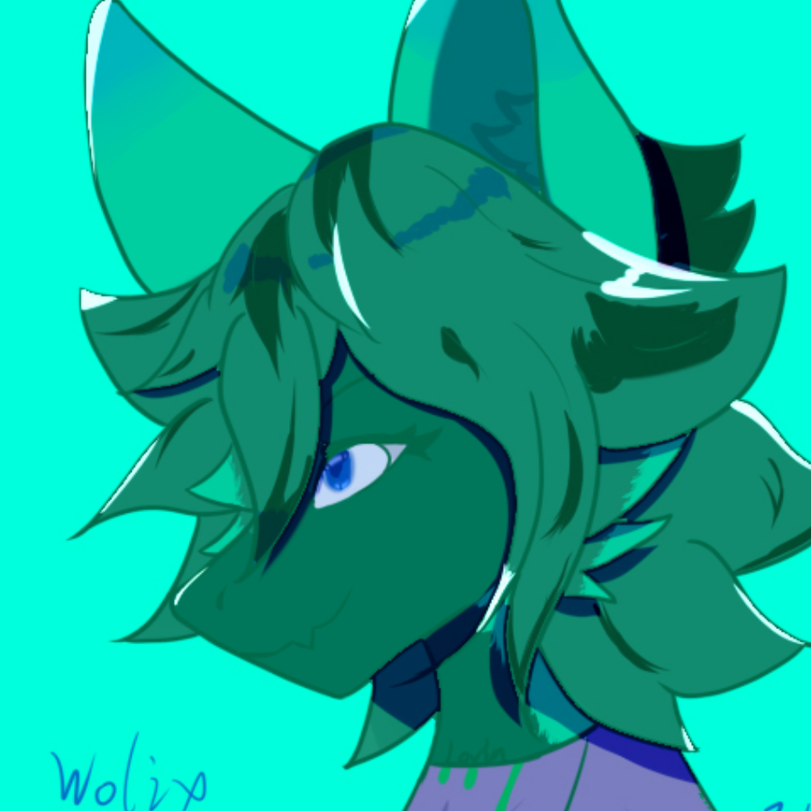 wolixoriginal