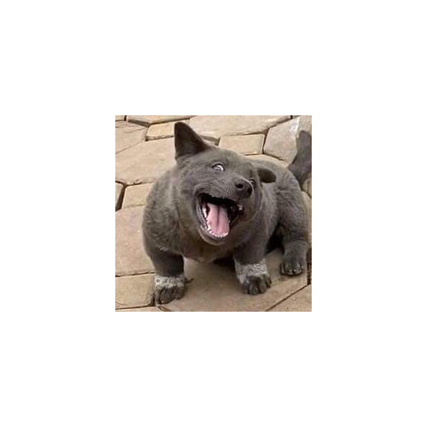 Minh Thiên Nguyễn