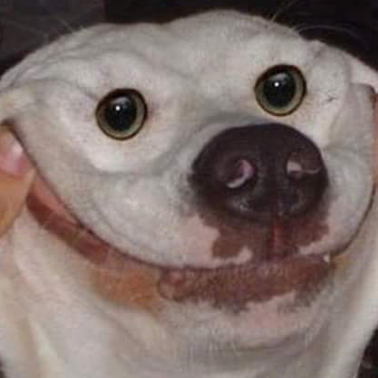 SmileDog