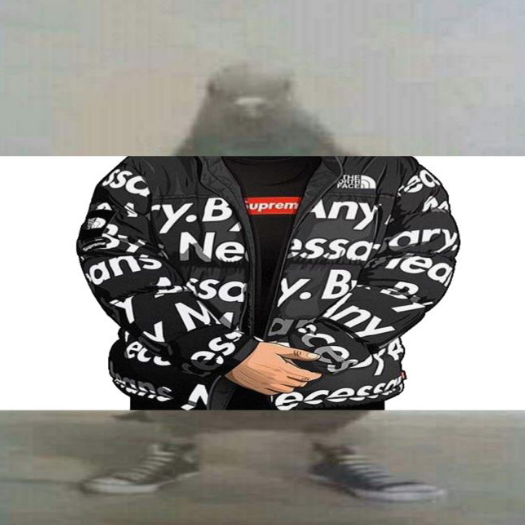 ✭𓅃Tʜᴇ ᏦιηG㟼