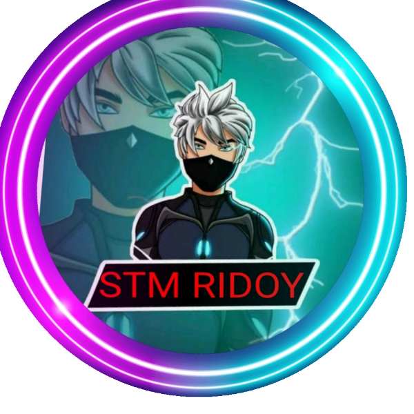 STM RIDOY FF